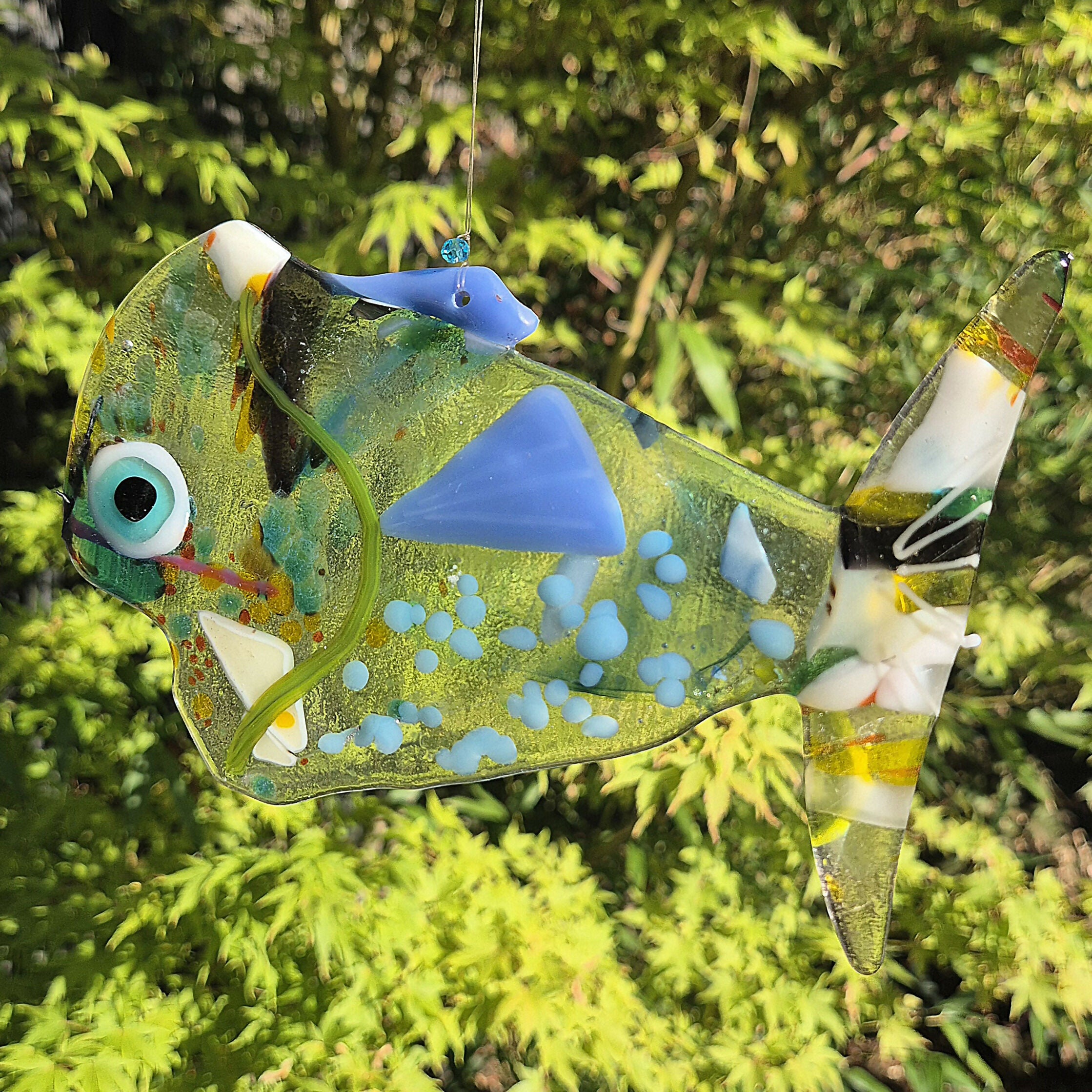Wide Mouth Funny Fish