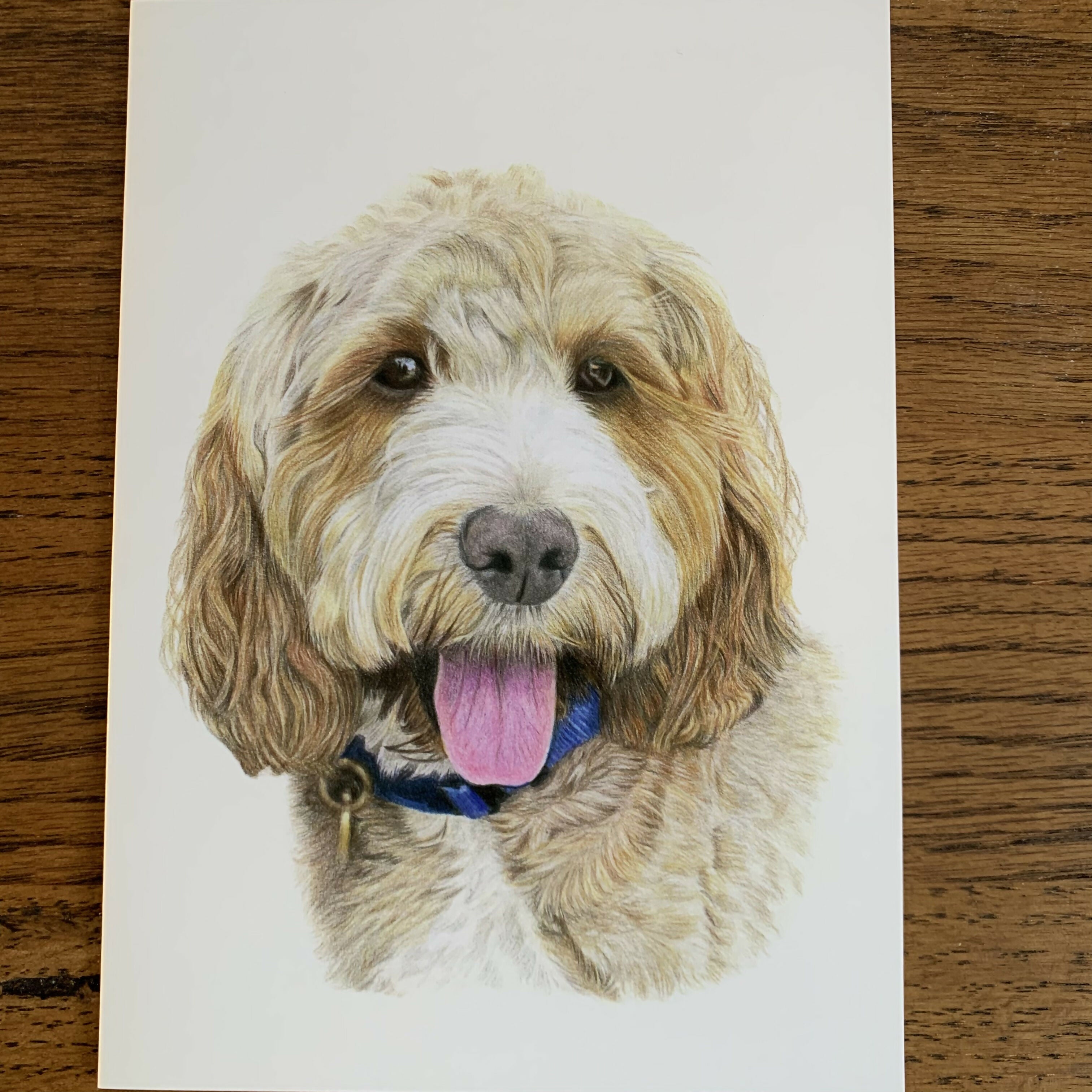 Greeting Card of a Cockapoo 2. Blank Inside