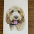 Greeting Card of a Cockapoo 2. Blank Inside