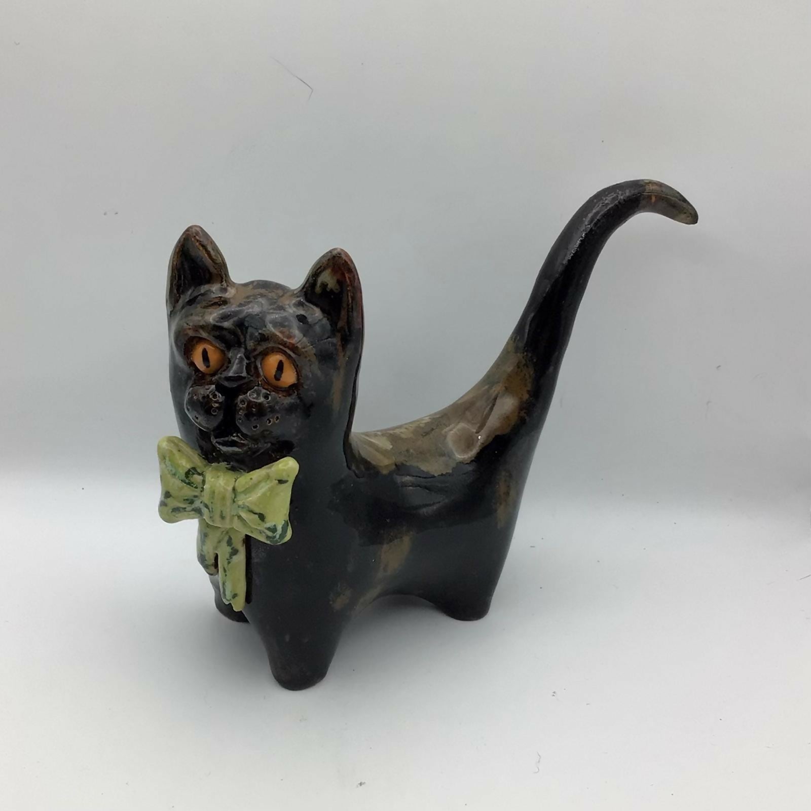 Evening Guest Cat