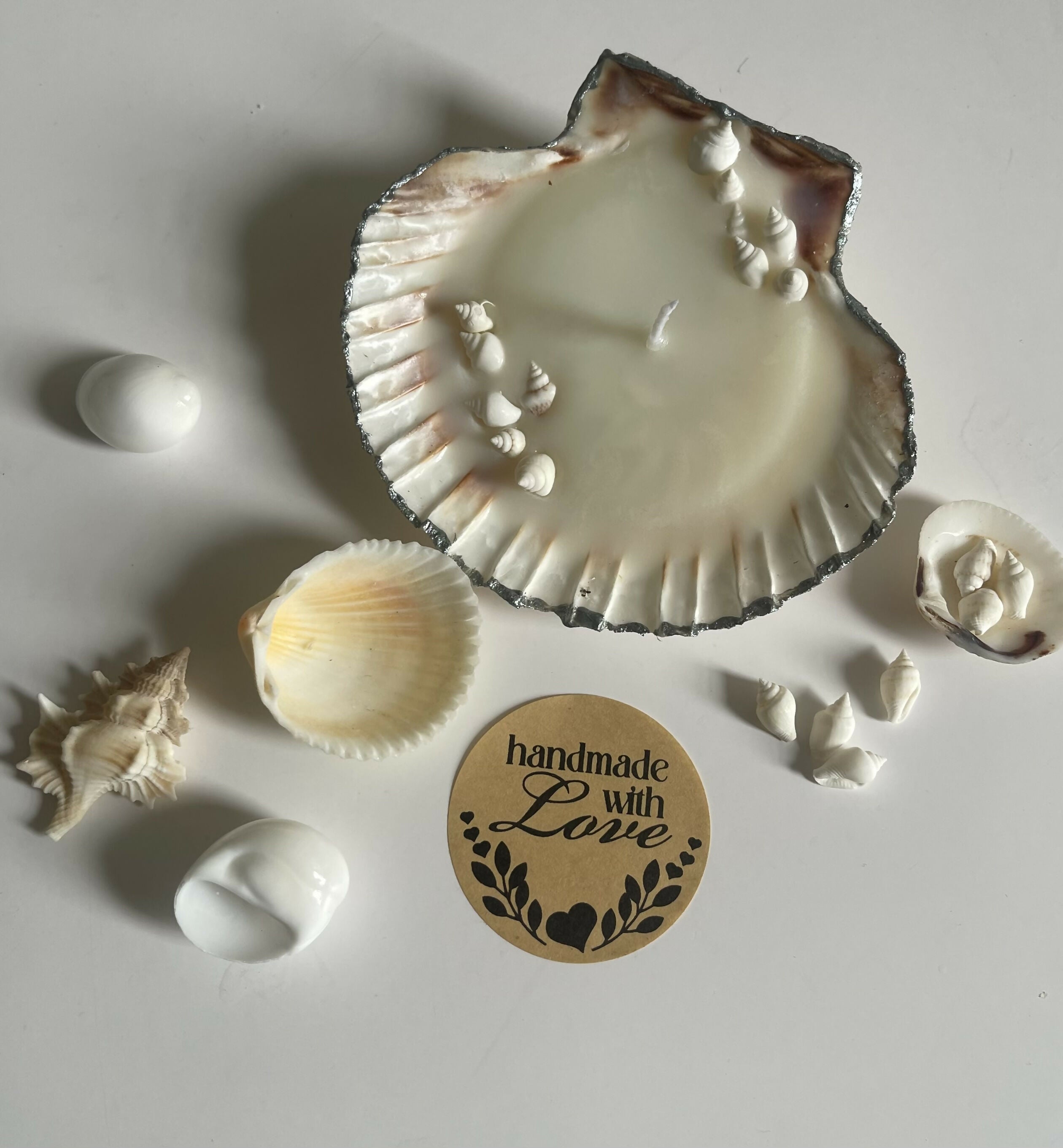 Scallop Shell Candle