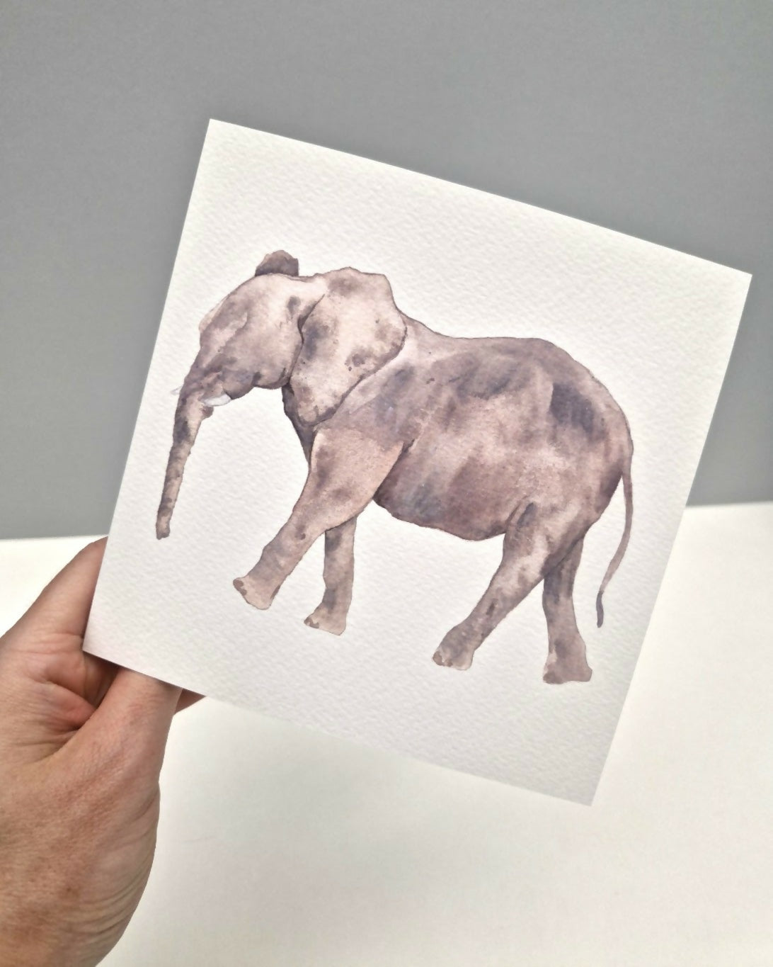 Elephant Greeting Card