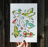 Duck Collection A4 Print