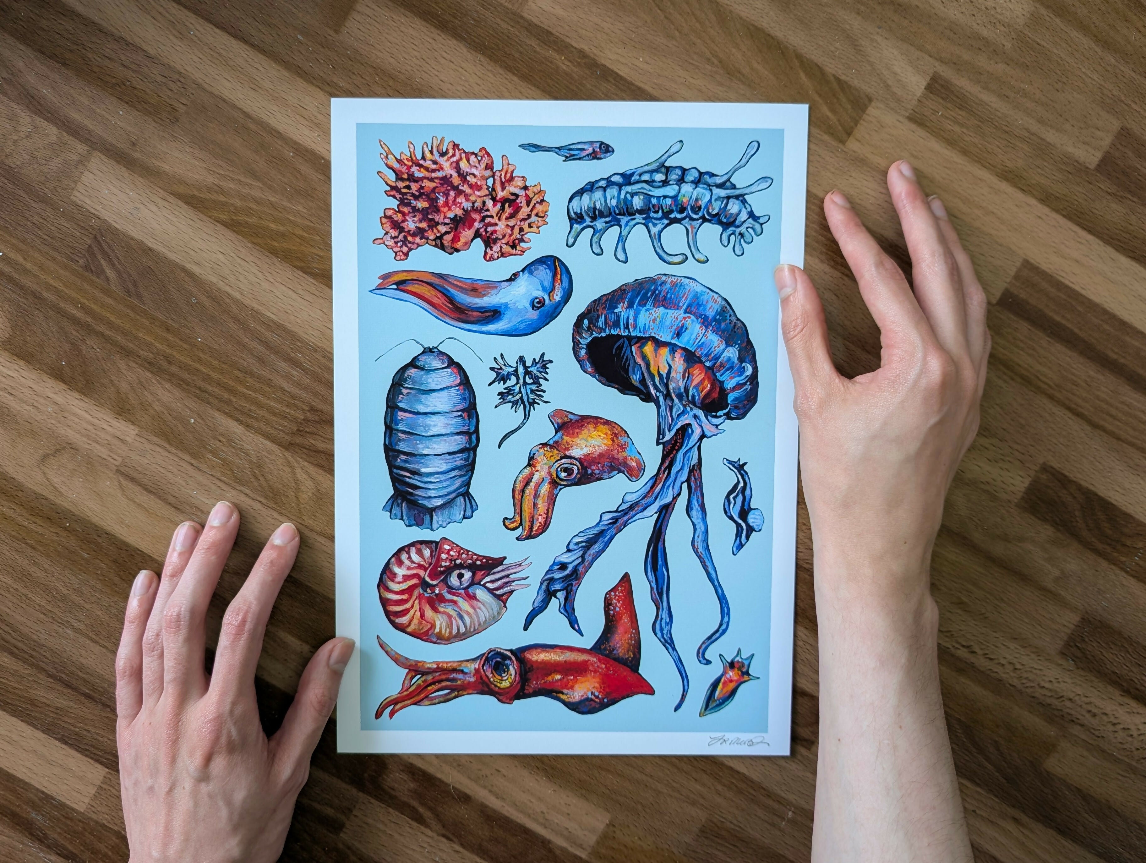 Deep Sea Creature Illustration