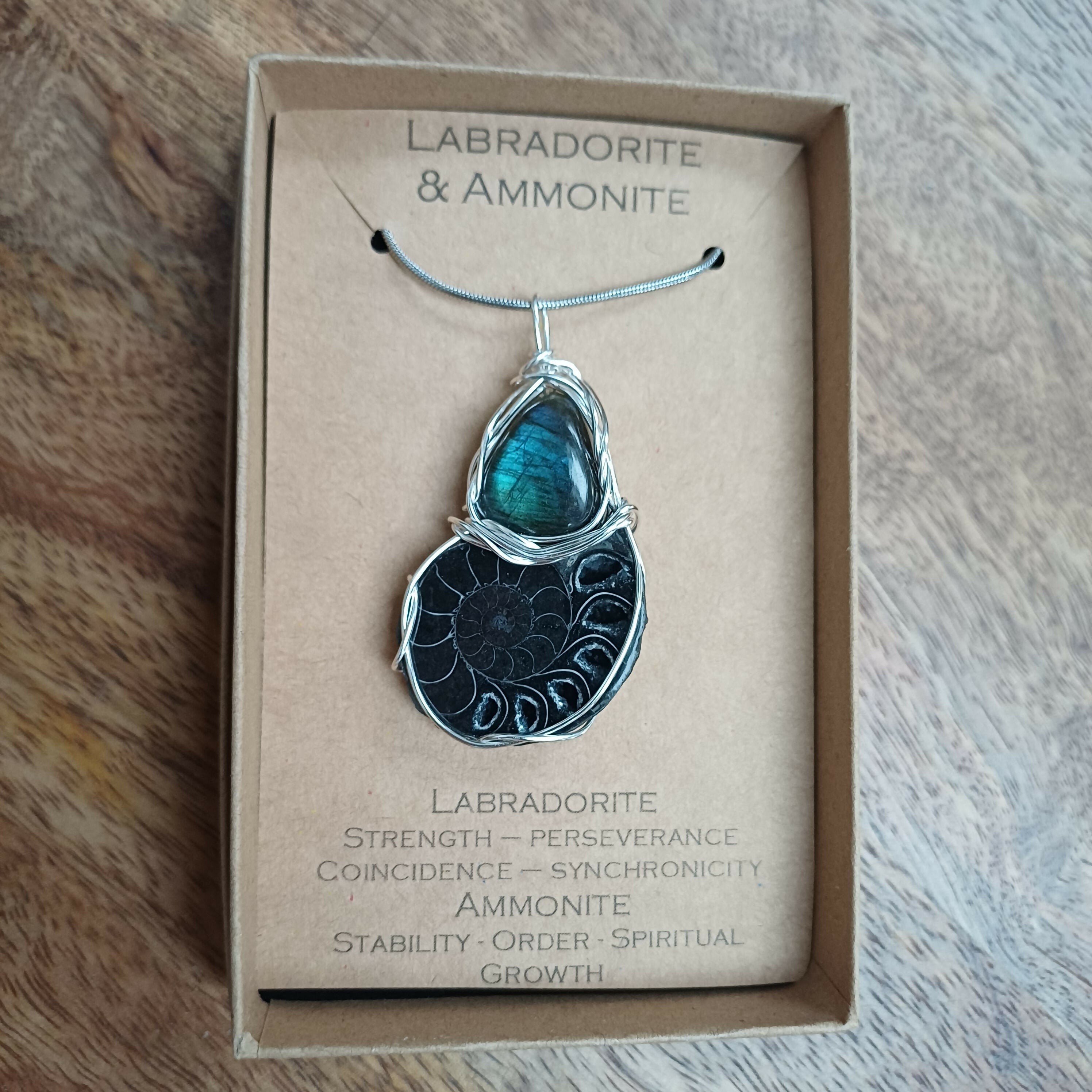 Labradorite and Ammonite Wire Wrapped Pendant