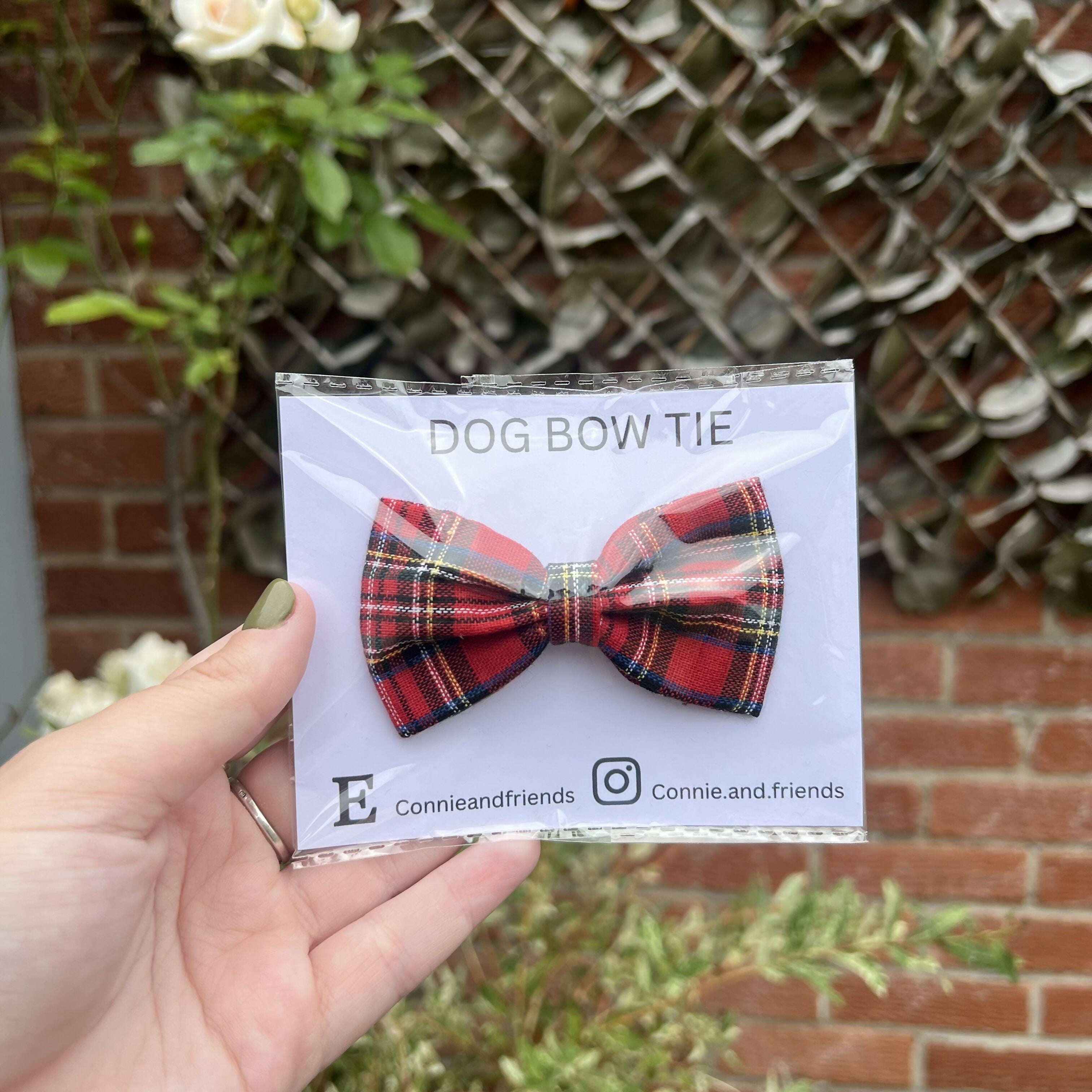 Red Tartan Dog Bow Tie