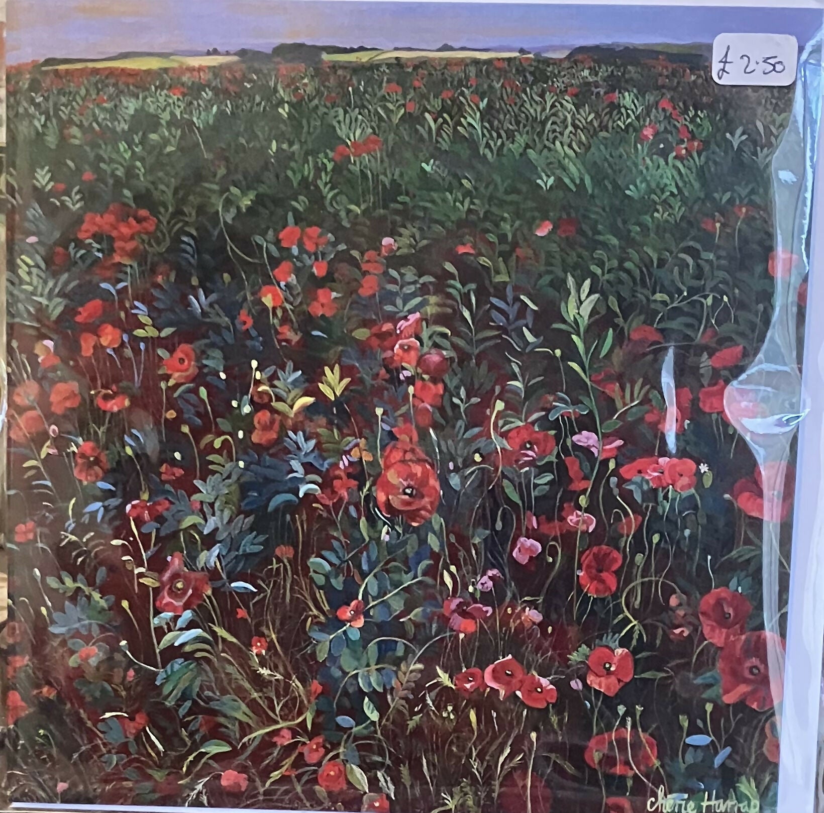 Poppies Greetings Card