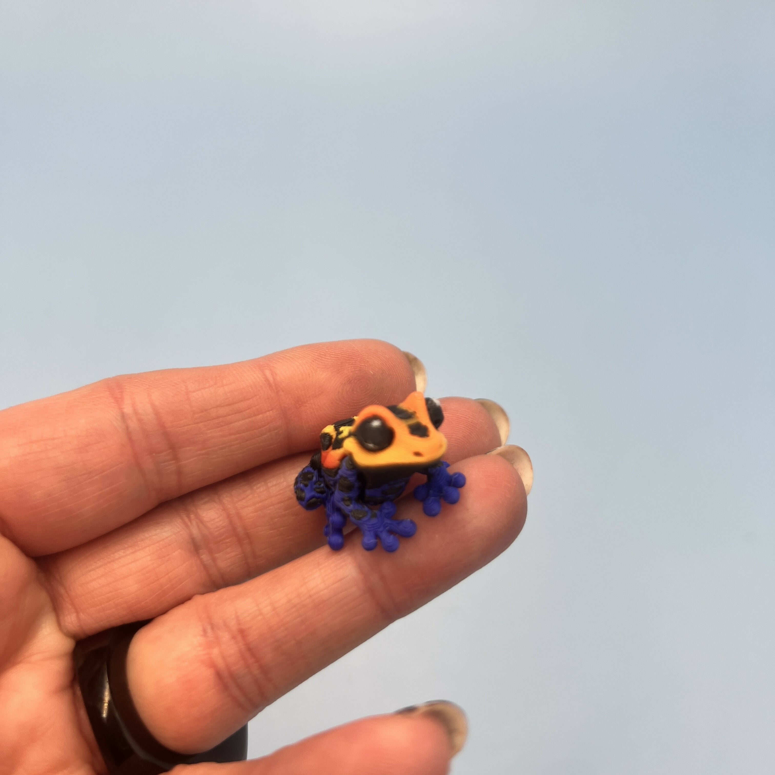 3D Printed Micro Miniatures: Articulated Sensory Fidget Animals friends Tree Frogs & dart frogs 3-4cm