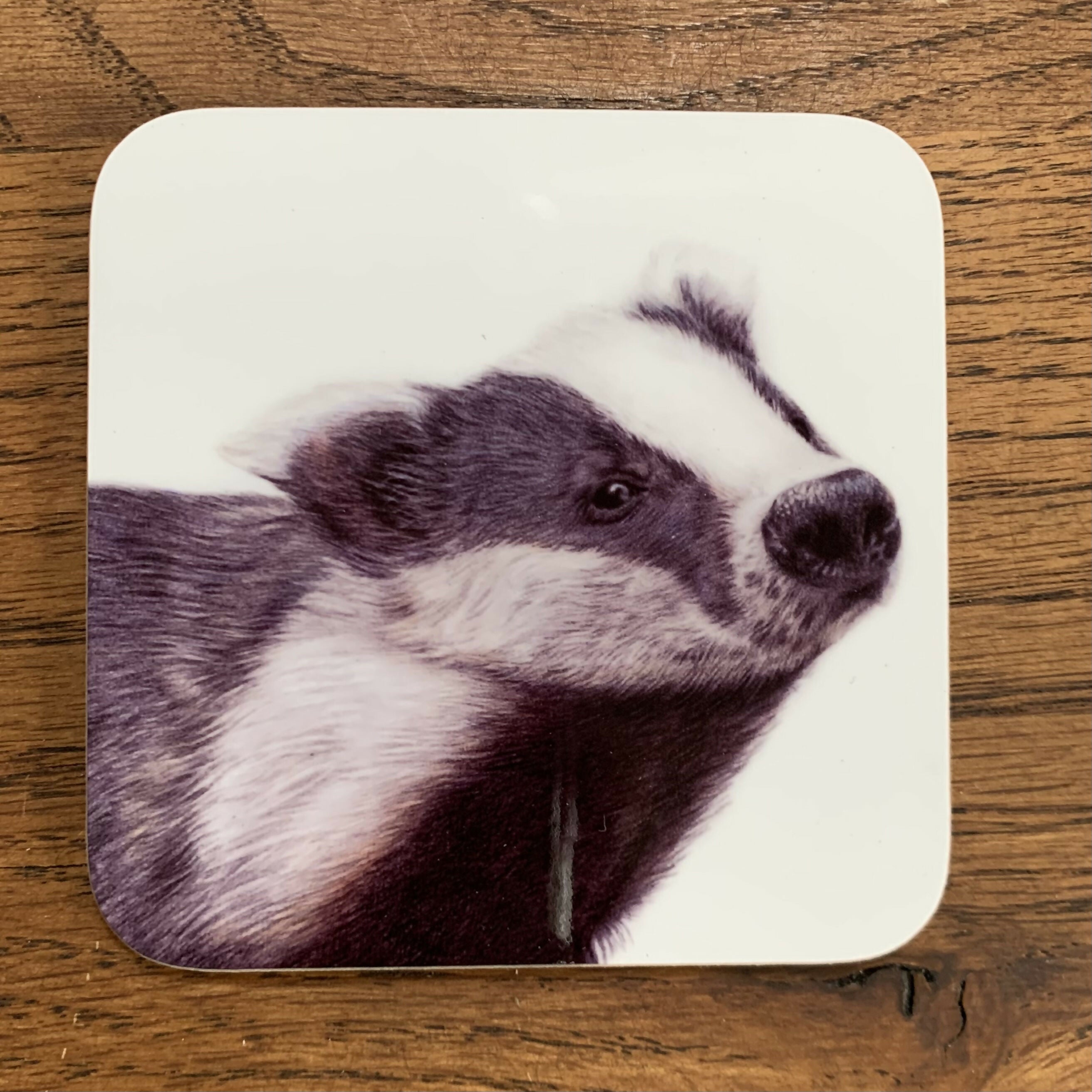 Hare Coaster