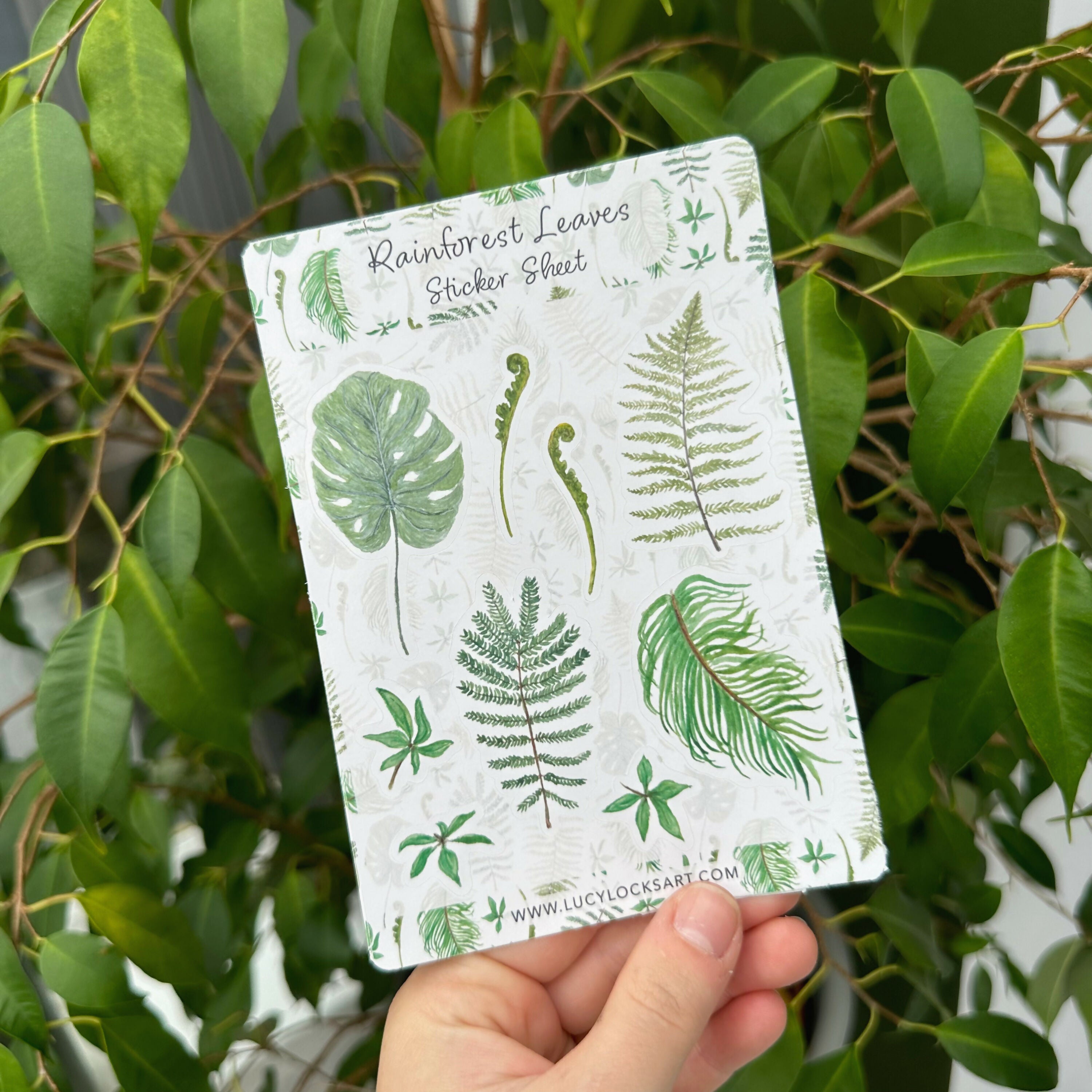 Rainforest Leaves - Matt Sticker Sheet