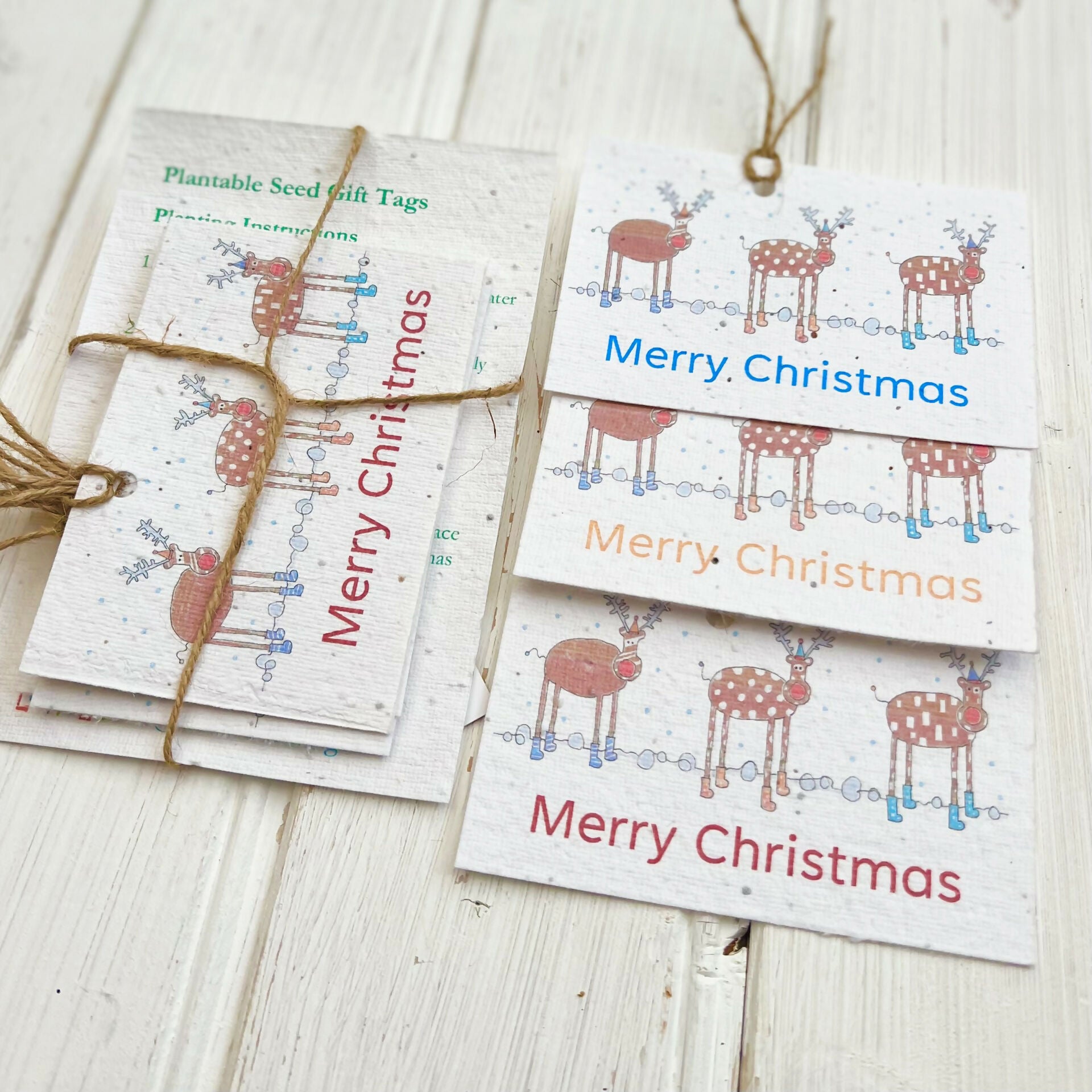 Set of 6 Christmas Seed Gift Tags - 'Friendly Reindeer' design