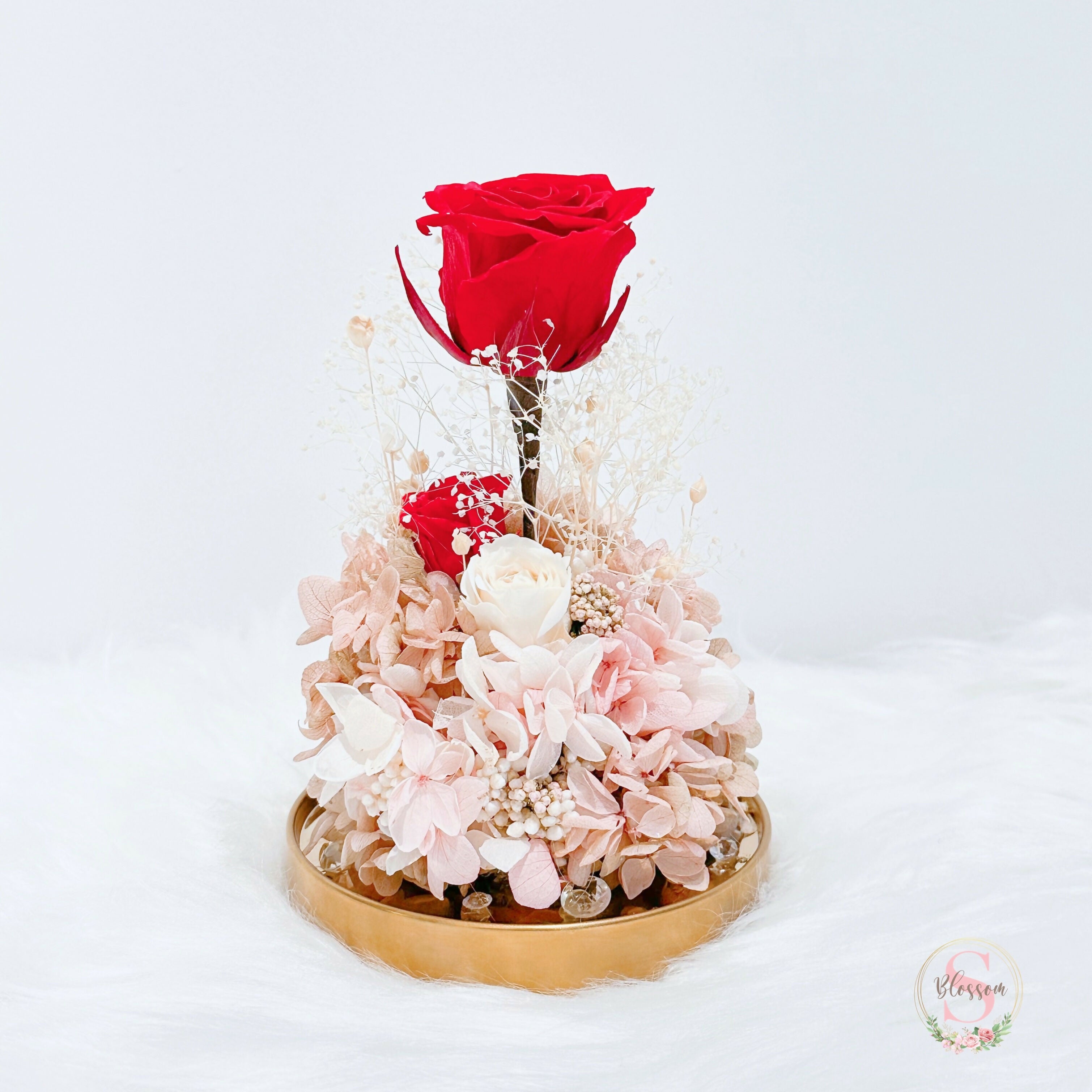 Classic collection - Forever Red