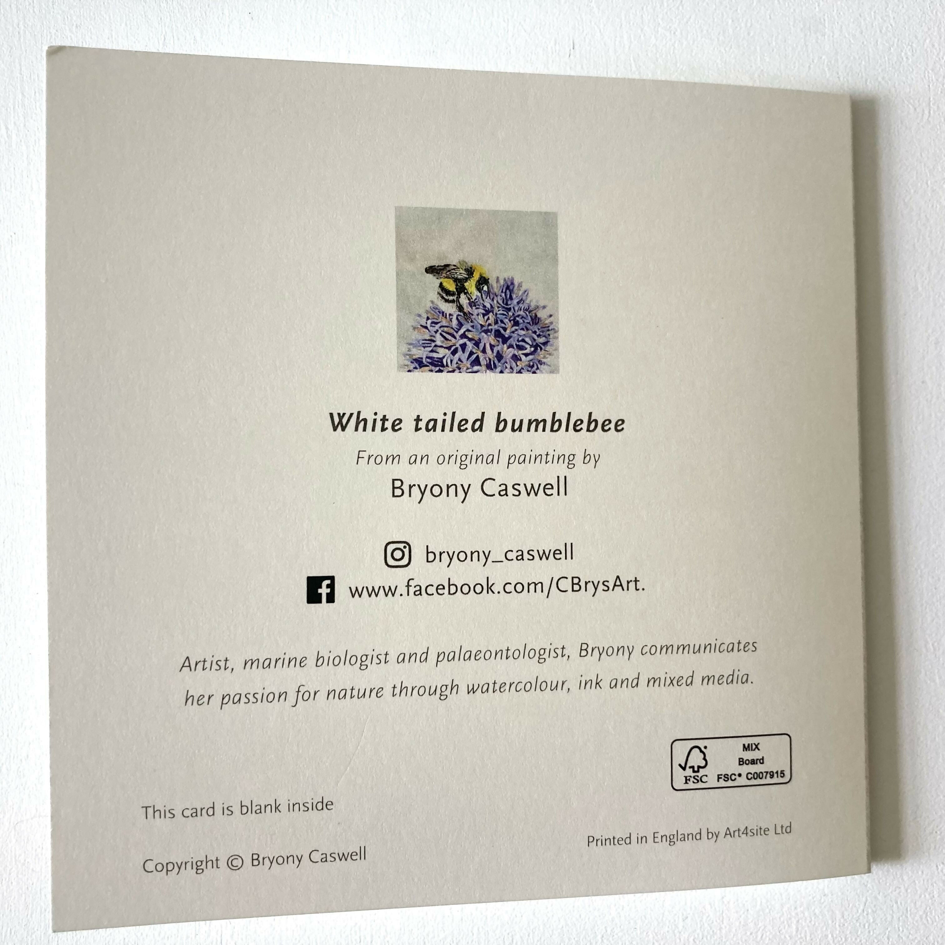 White Bumblebee - Greetings Card