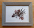 Real Pressed Seaweed Framed Art