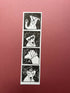 Photobooth Print - Jack Russell