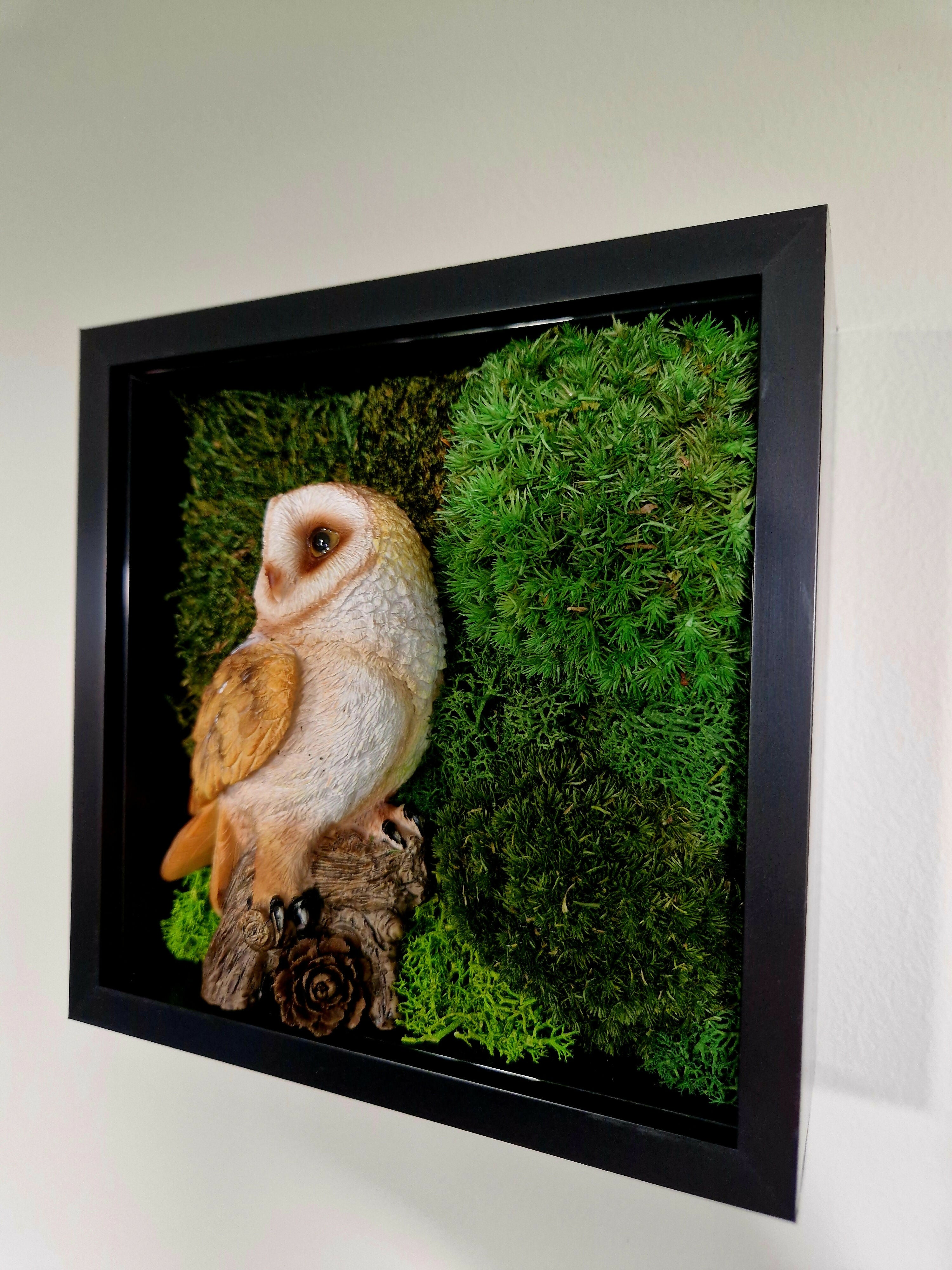 British Barn Owl