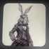 hare