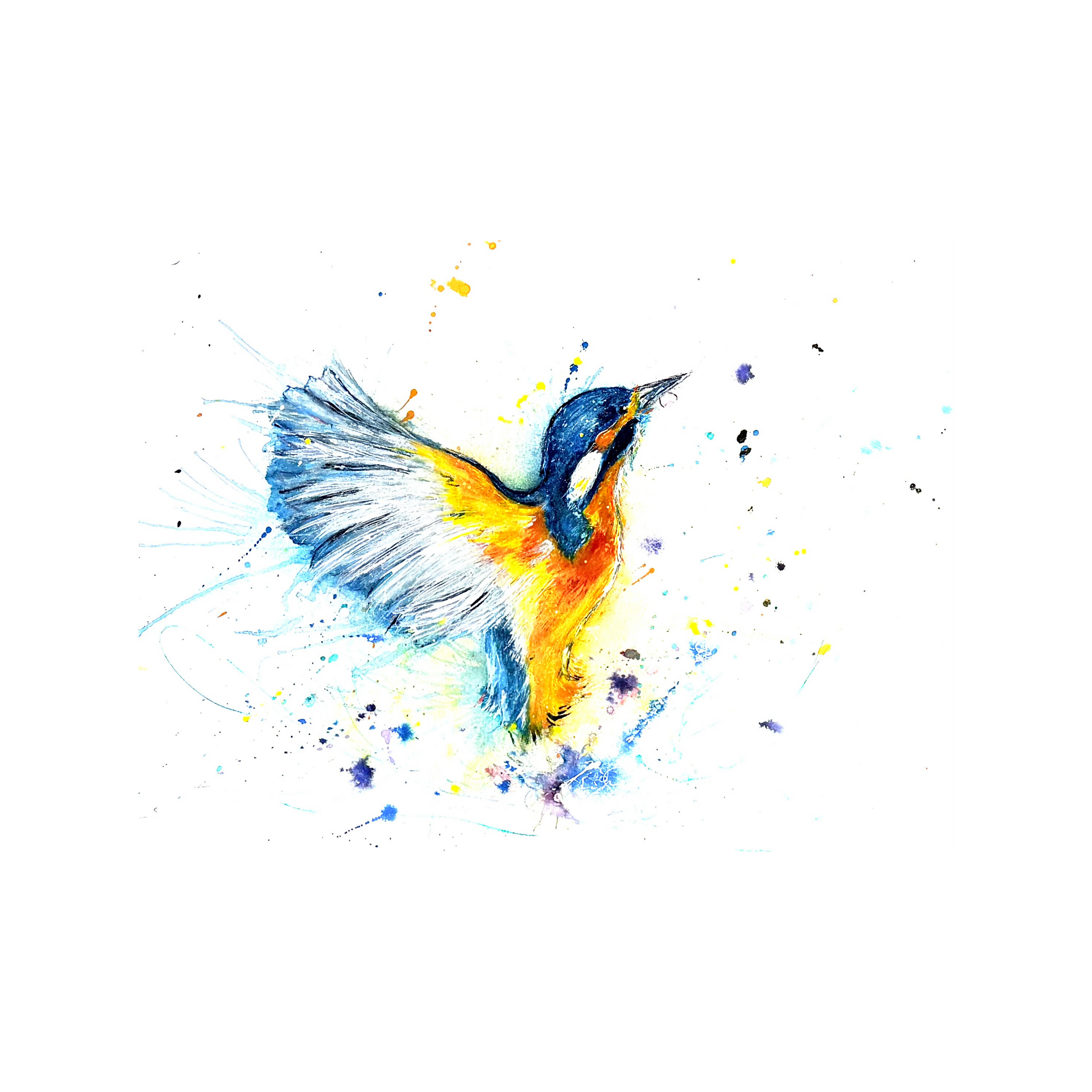 FINE ART PRINT OF KINGFISHER PART OF ANIMAL COLLECTION
