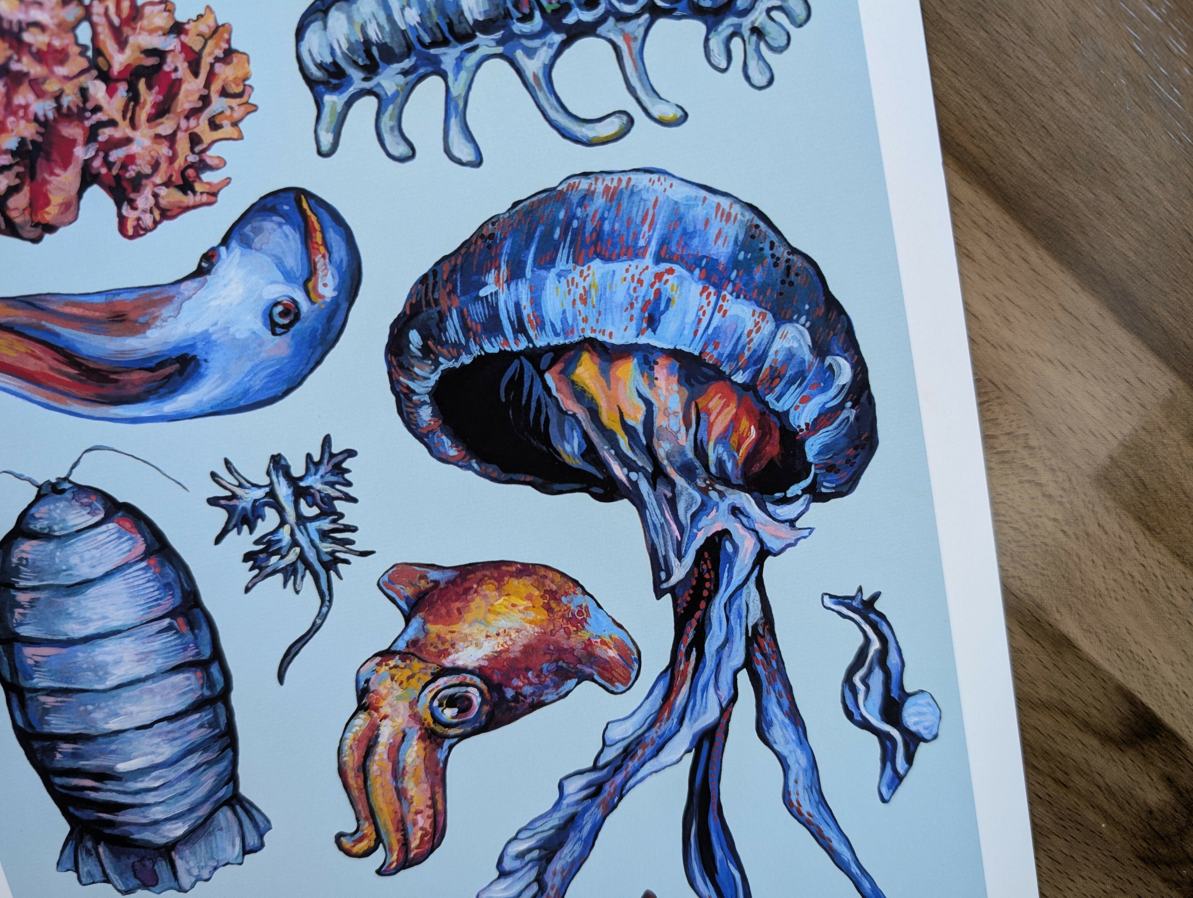 Deep Sea Creature Illustration