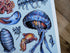 Deep Sea Creature Illustration