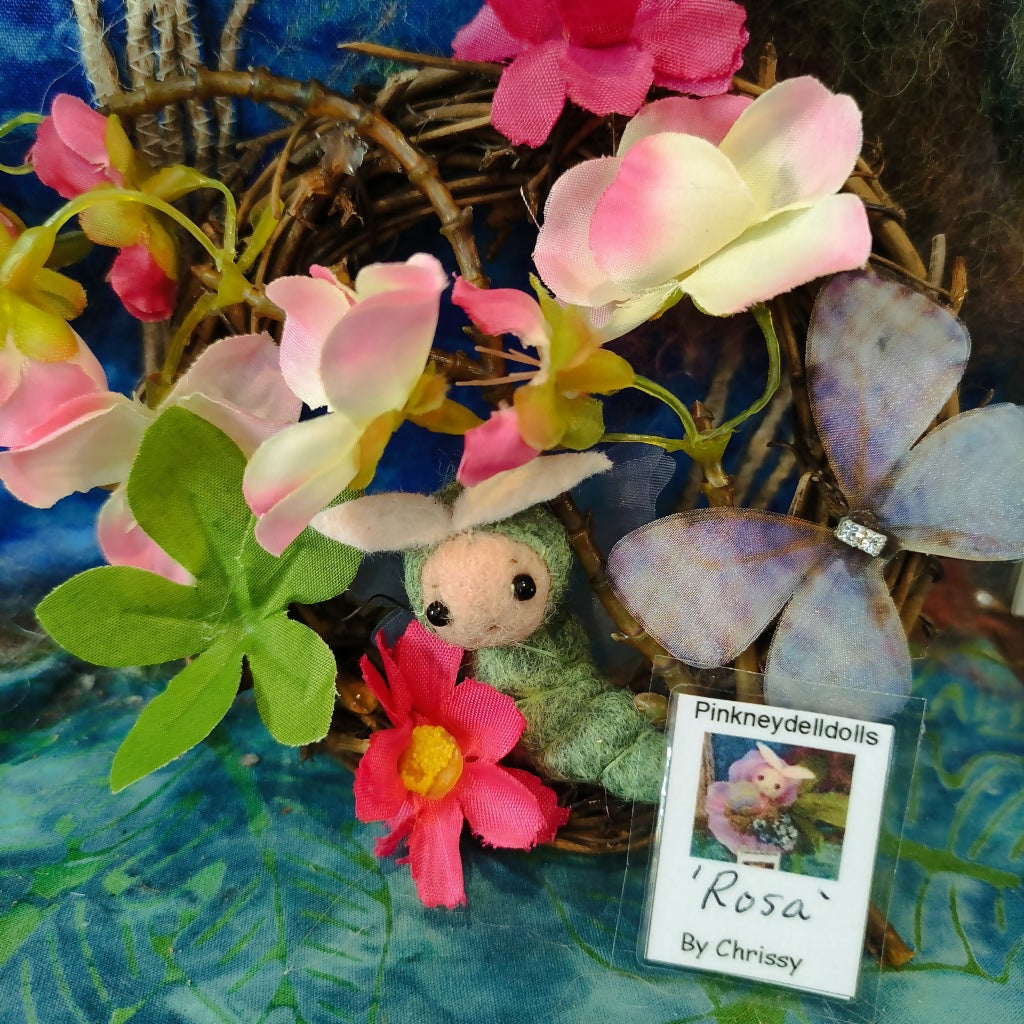 Rosa