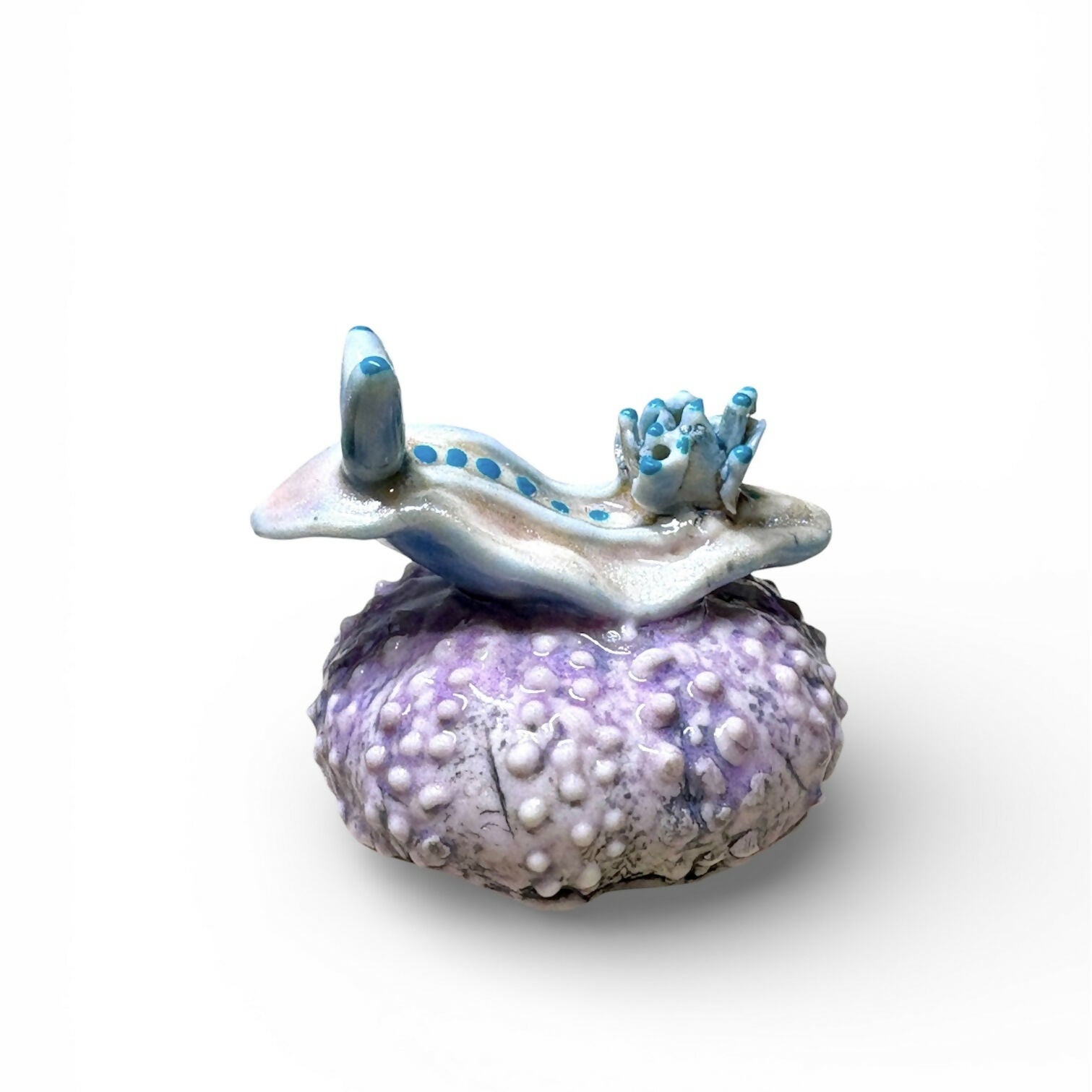 Handmade Porcelain Sea Slugs