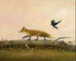 Fleeting Fox 12"x10" Print