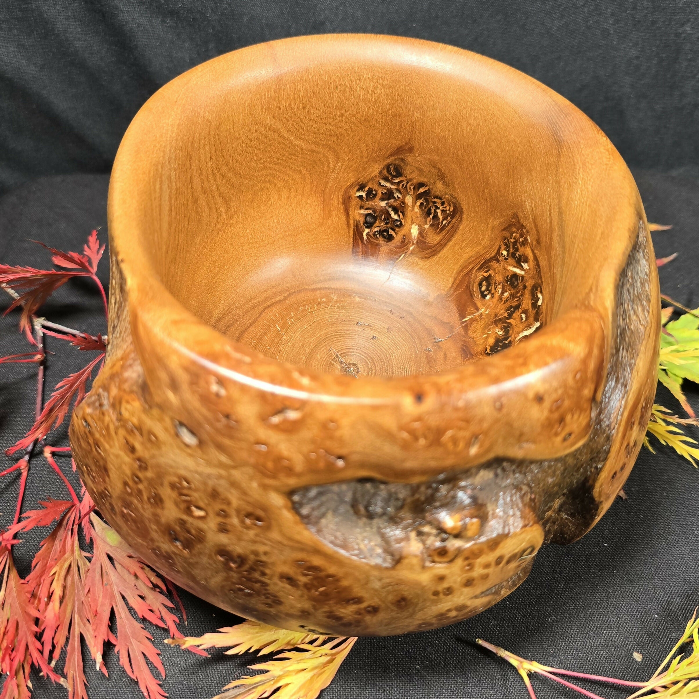 Hand Turned Unique Elm Burr Bowl