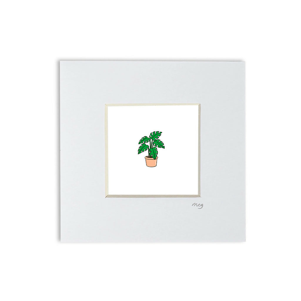 Cheese Plant 4x4" Mounted Mini Print