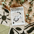 Scorpio Star Sign Cat Print
