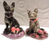 Ceramic Witches cat sculpture
