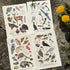 A5 RISO prints-Coastal Birds，Scottish Seabirds，Highland wildlife，Nocturnal wildlife