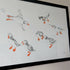 Puffin Sketches - A3 Original Framed