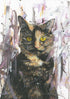 'Fleur' Print Of Tortoiseshell Cat Acrylic Painting A4 Mounted
