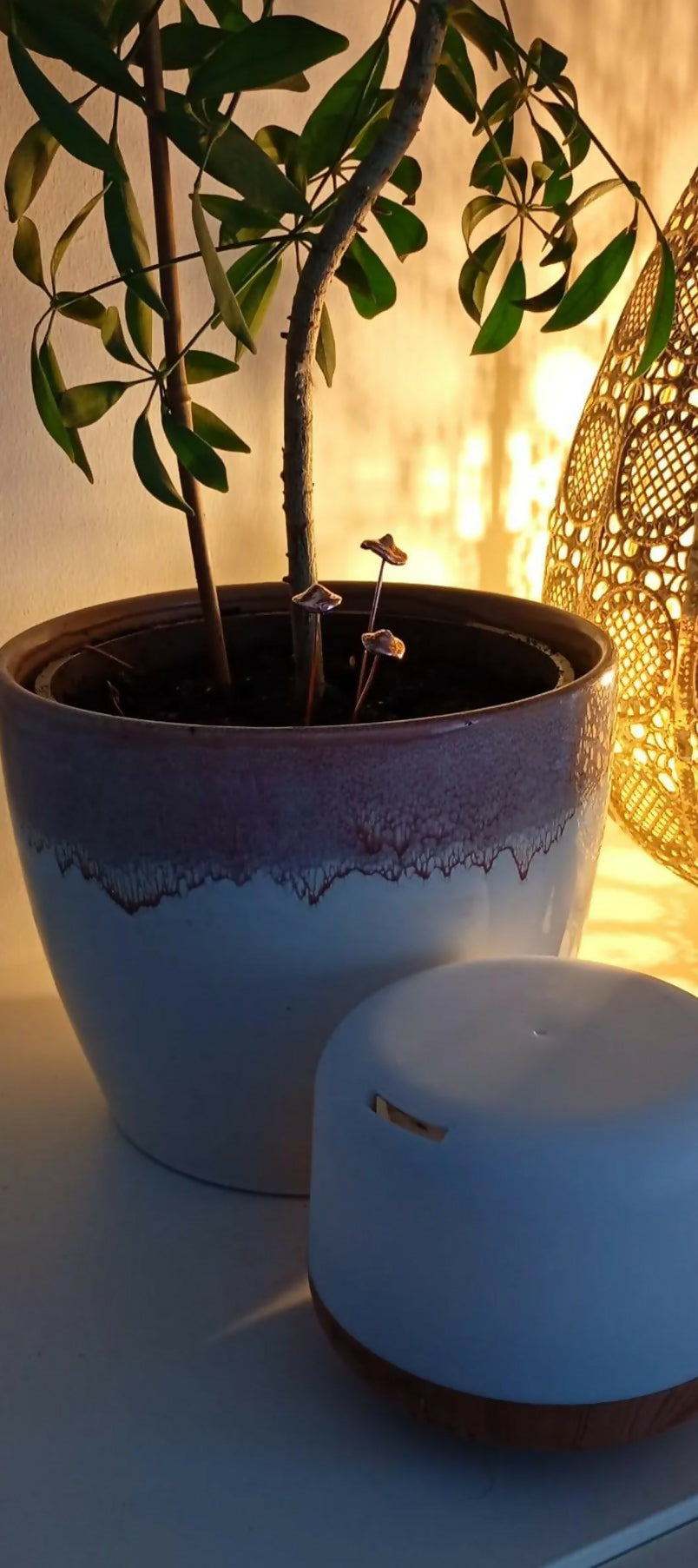 Copper Mushroom Plant Decoration
