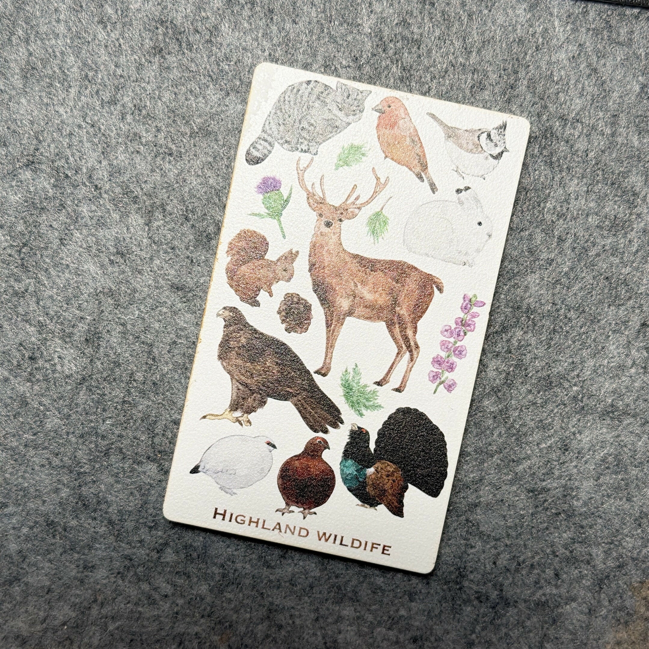 Wooden Magnets-Scottish Seabirds,Highland wildlife