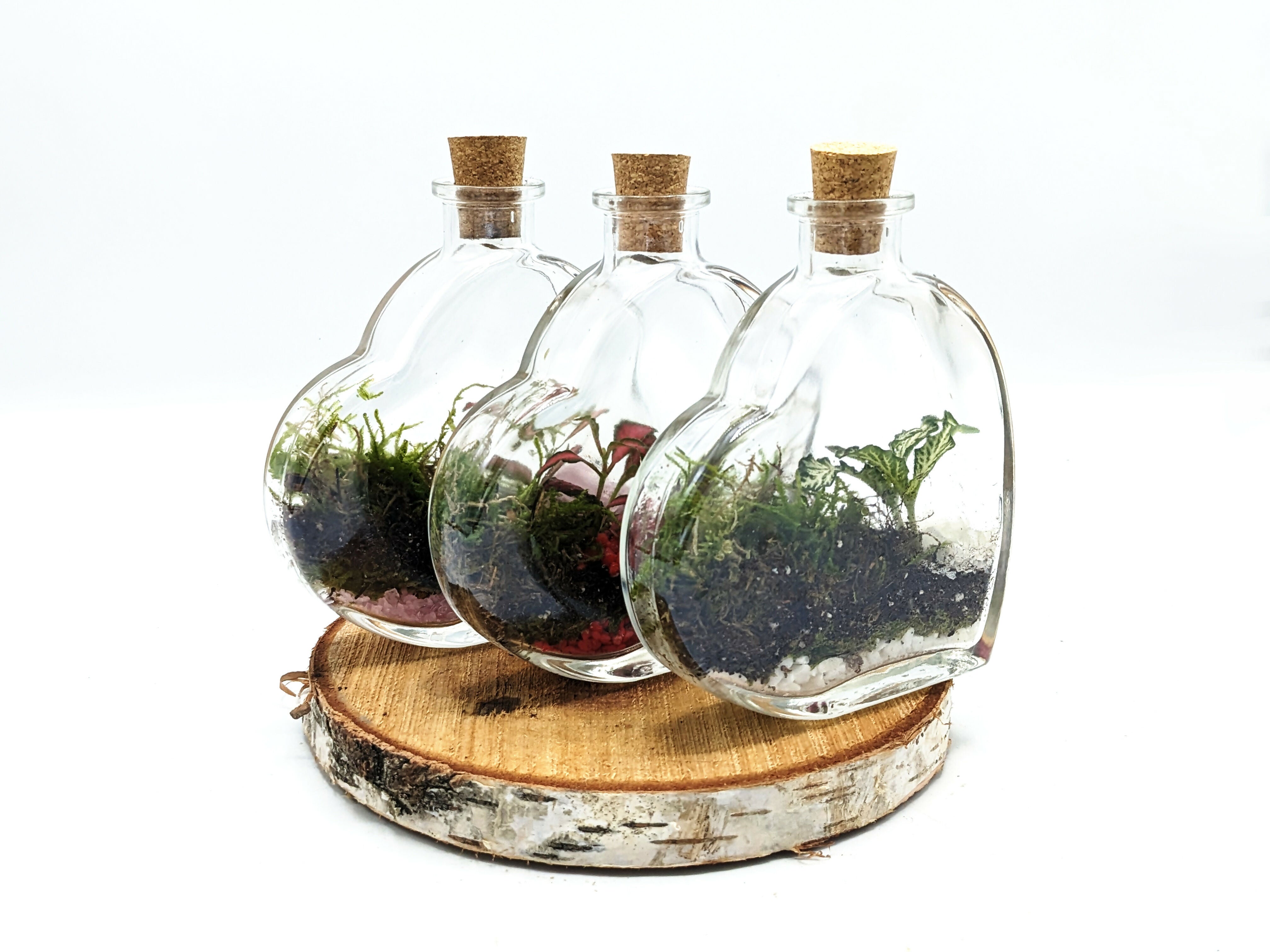 Large Heart Terrarium