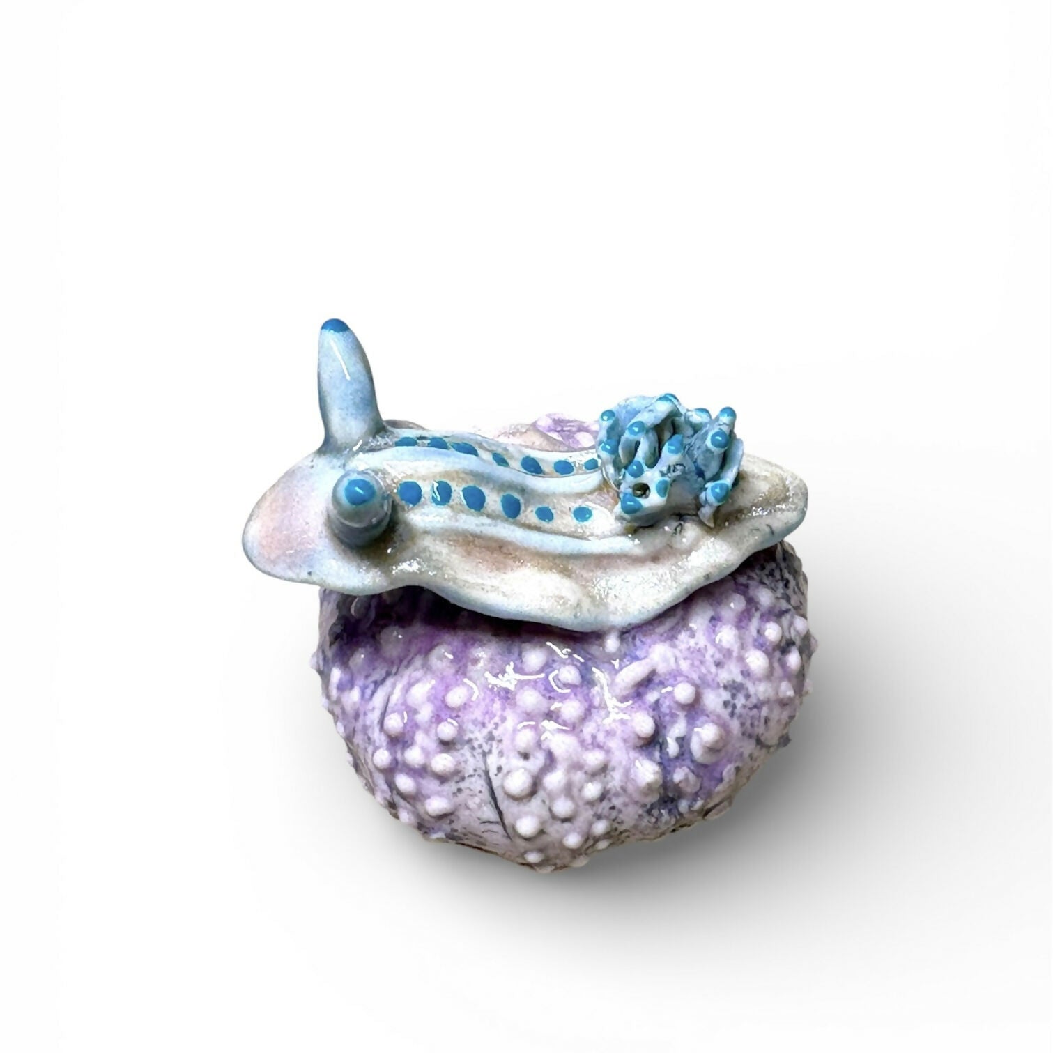 Handmade Porcelain Sea Slugs