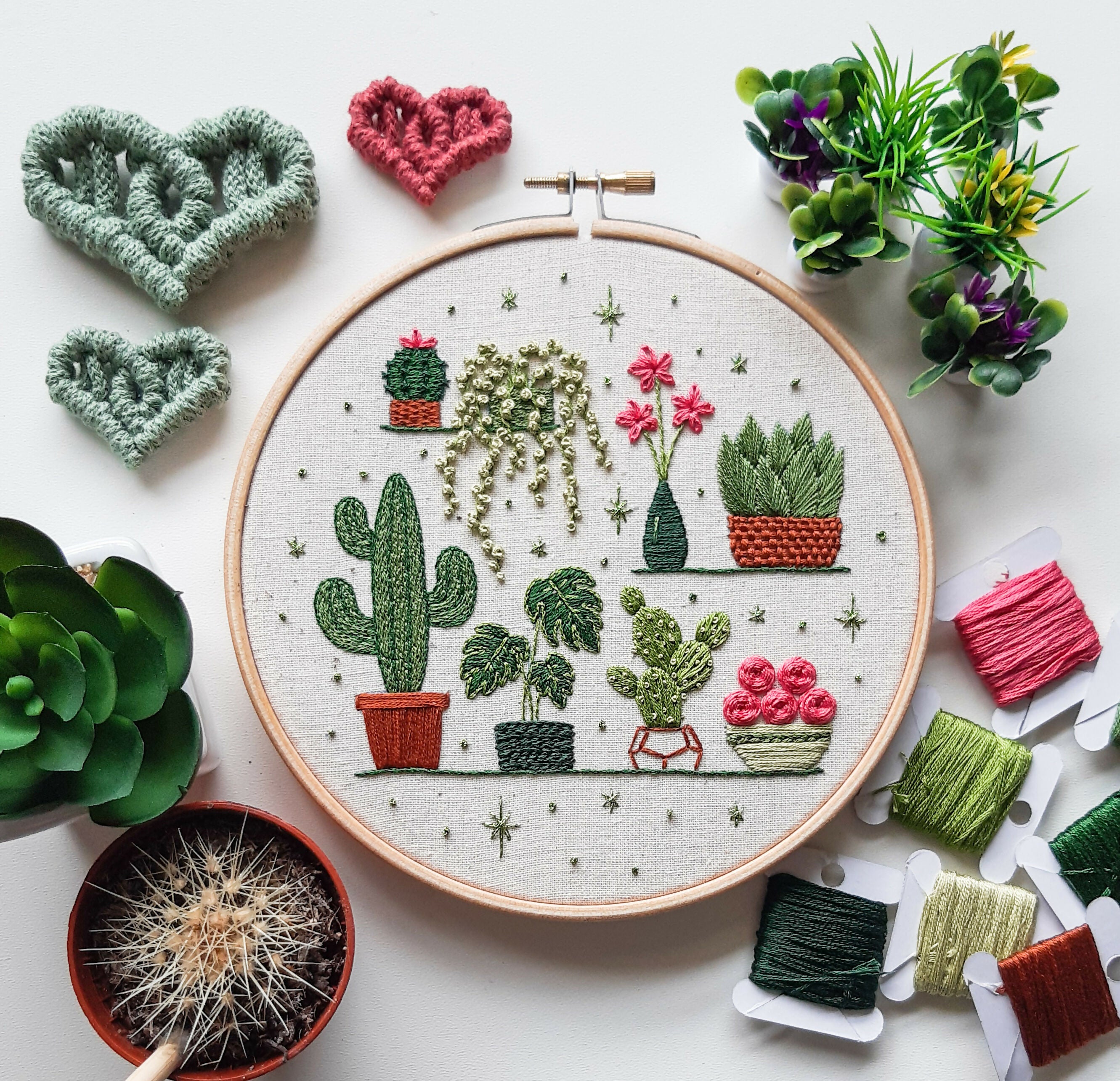 Preprinted Embroidery Pattern For Beginners - Potted Plants