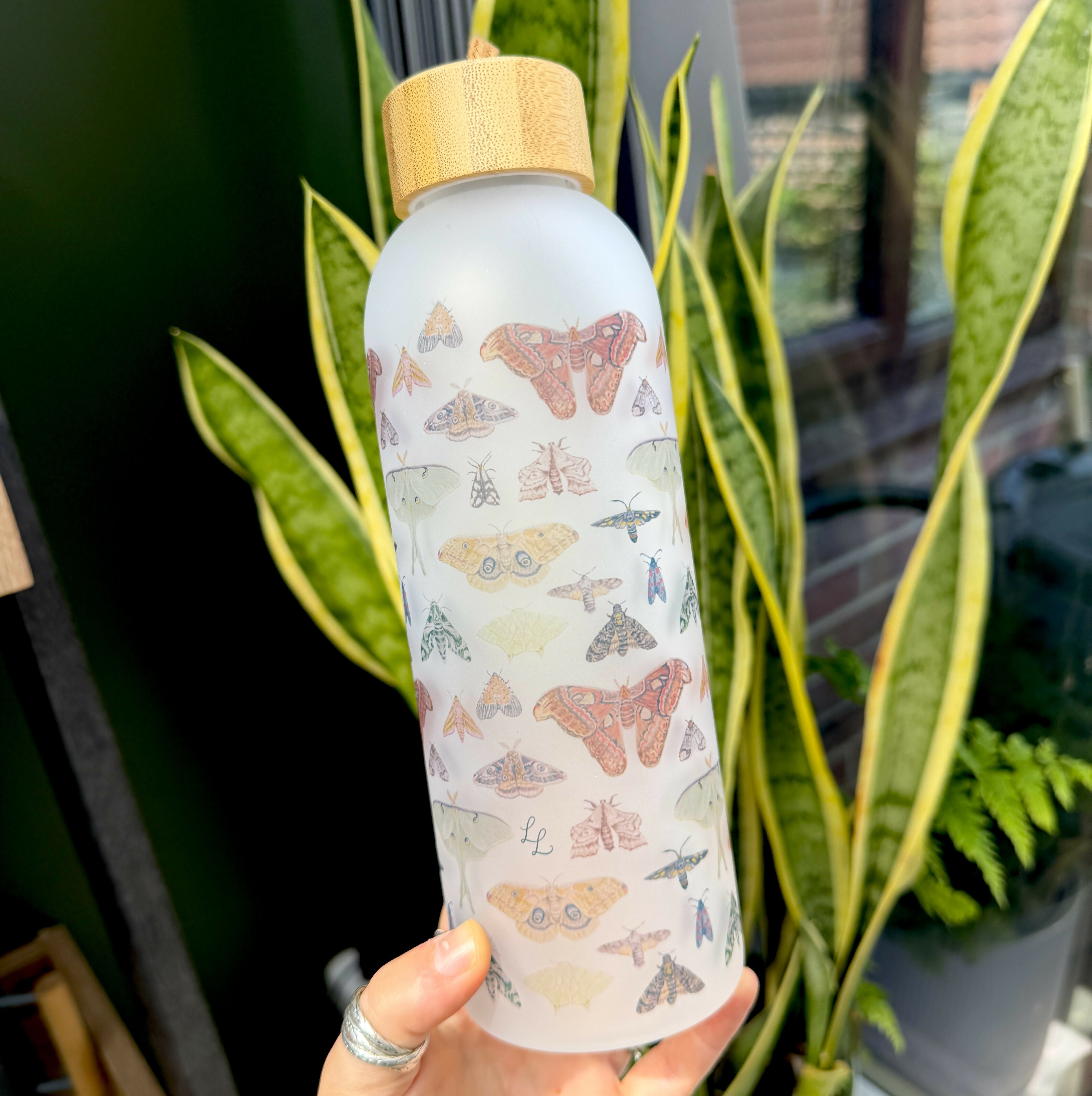 Moth - 25oz Glass Water Bottle with Bamboo Lid