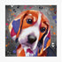 BEAGLE DOG COLOUR SPLASH MOUNTED ARTWORK.