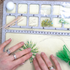 DIY Beaded Ball Cactus Kit with Terracotta Pot