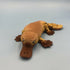 3D Printed MEDIUM: Articulated Sensory Fidget Animals friends Platypus 15cm