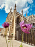 Poppies And A Minster Is A Good Mix (frame 23x28.5)