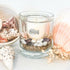 Friendly Shark Botanical Candle