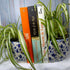 Plant Pot Book Ends