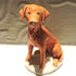 Ceramic Fox Red Labrador Dog Sculpture