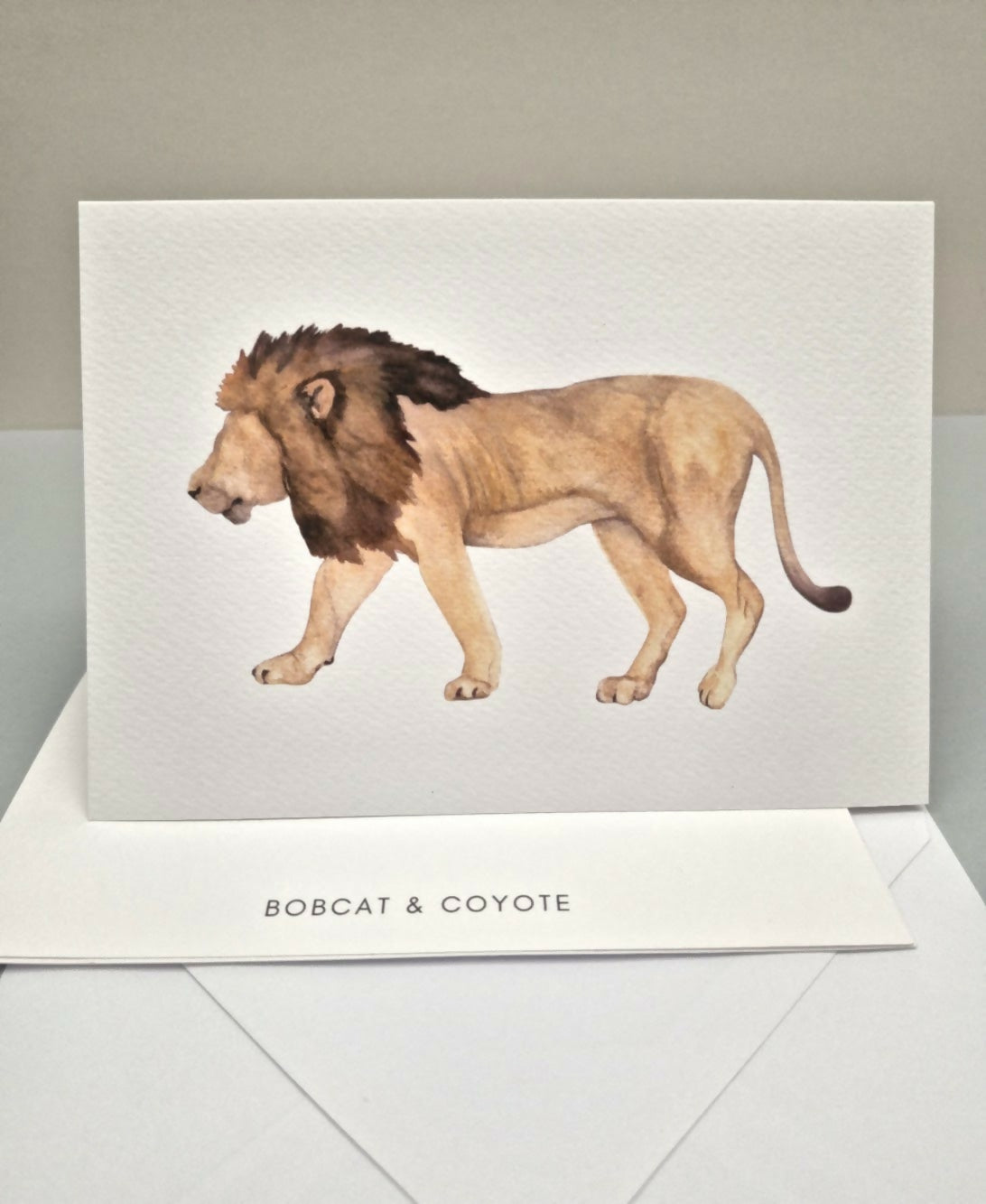 Lion Greeting Card
