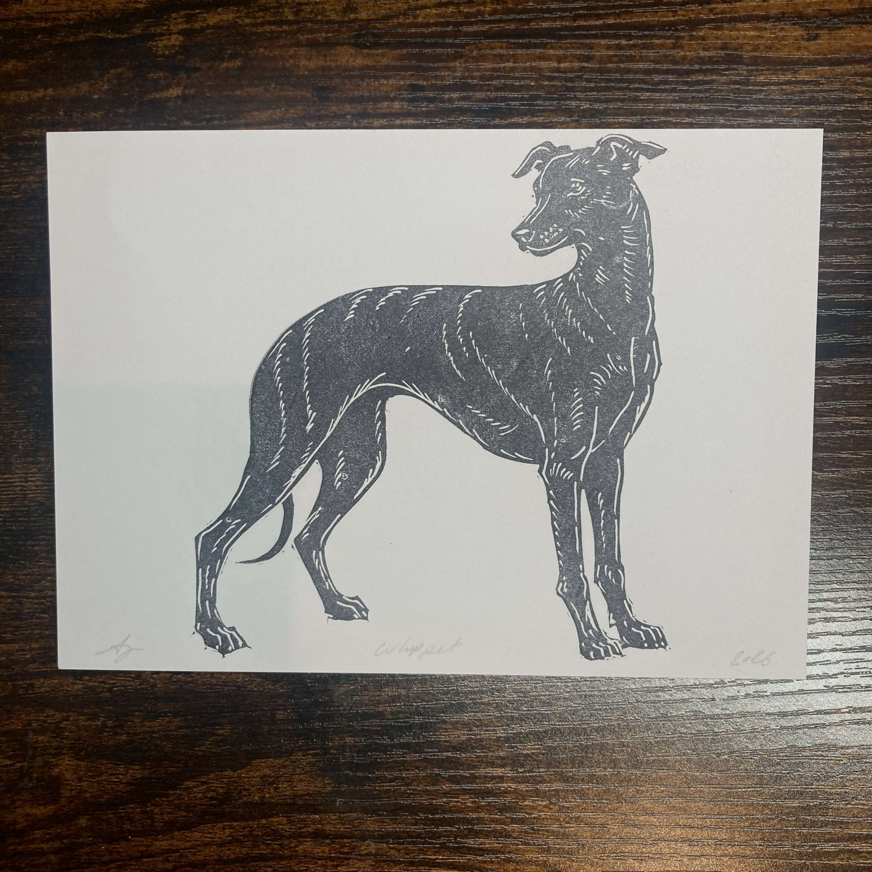 Whippet - 5x7
