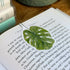 Rainforest - Matt Magnetic Bookmark